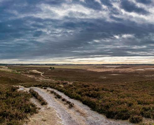 Frederikshåb Plantage Revisted Panorama