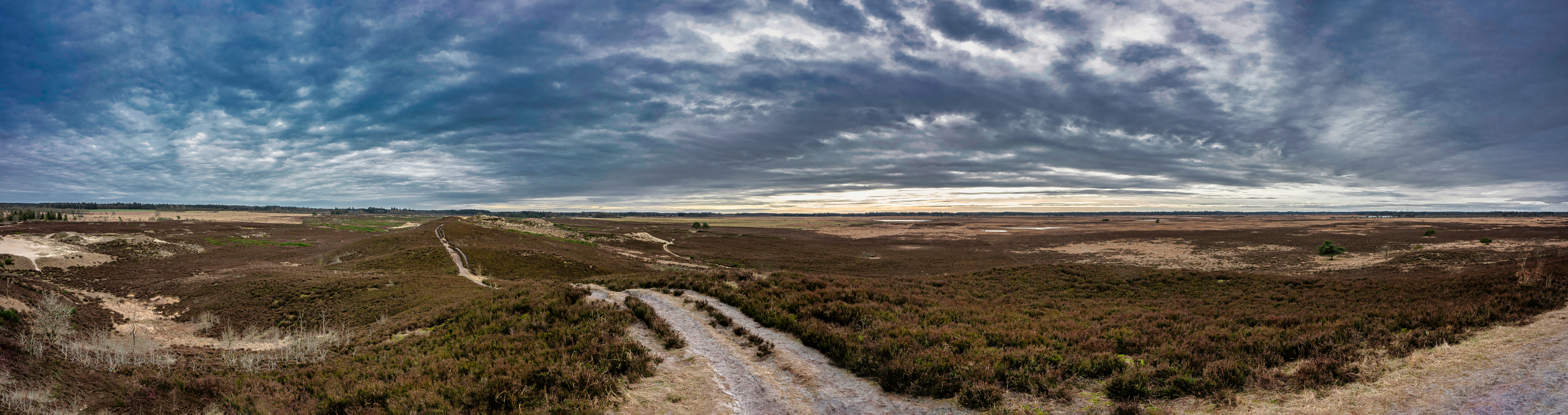 Frederikshåb Plantage Revisted Panorama